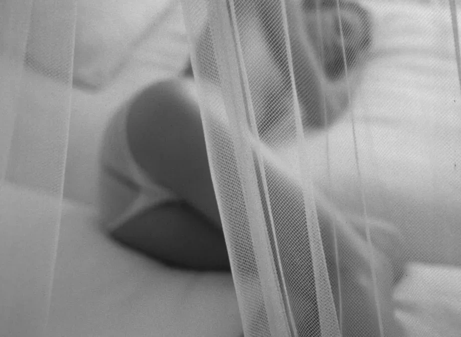 Justina Moskitonetz